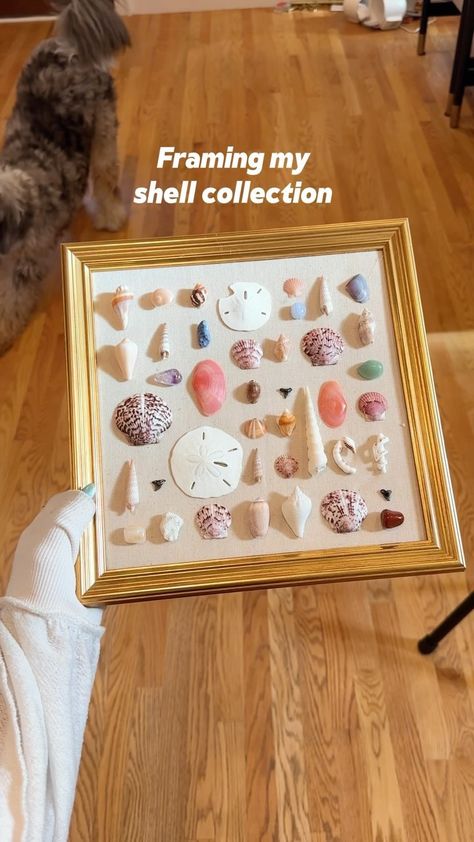 Mik Zazon | Brb i am SCREAMING. Obsessed with this. Drooling over it. I have been wanting to find a way to incorporate my love for collecting shells… | Instagram Shell Frame Diy, Homemade Beach Decor, Broken Shells Ideas, Seashell Keepsake Ideas, Ways To Display Shells, Sea Shell Diy Ideas, Diy Sea Shells Crafts, Things To Do With Shells From The Beach, How To Display Shells