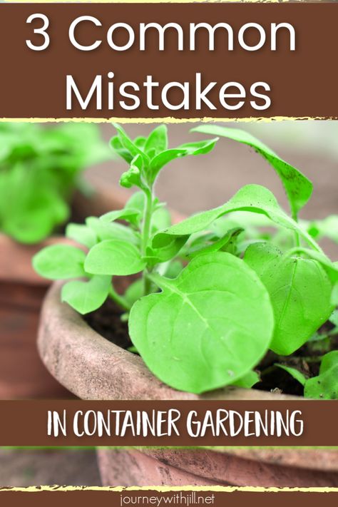 When growing vegetables in containers, you will have the best success and harvest by avoiding these three common container gardening mistakes.#containergardening #garden Gardening Gadgets, Herbs Growing, Gemüseanbau In Kübeln, Homestead Gardening, Upcycled Items, Garden Gadgets, Best Garden Tools, Homesteading Ideas, Gardening Vegetables