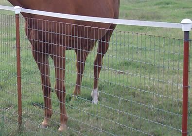 Horse Fence Ideas Cheap, No Climb Fence, T Post Fence Ideas, Horse Fence, Fencing For Horses Cheap, Diy Horse Fencing, Horse Fencing On A Budget, T Post Horse Fence, No Climb Horse Fence