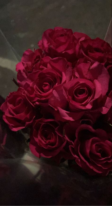 Hot Pink Roses Aesthetic, Pink Roses Aesthetic Wallpaper, Dark Pink Aesthetic, Bright Roses, Dark Pink Roses, Dark Pink Flowers, Hot Pink Roses, Blue Aesthetic Pastel, Rosé Aesthetic