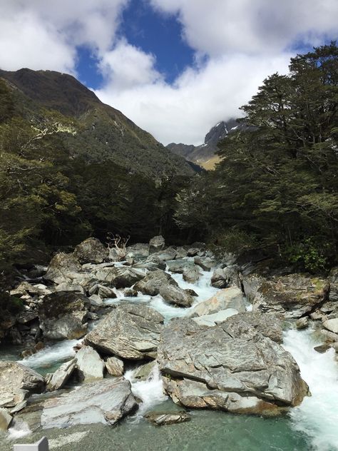 Routeburn Track 1 Day Hiking (Queenstown, New Zealand): Top Tips Before You Go - TripAdvisor Day Hiking, Queenstown New Zealand, South Island, Queenstown, Day Hike, Top Tips, 1 Day, Kiwi, Trip Advisor