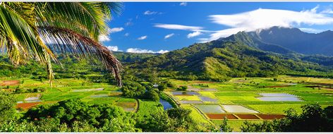 Easy Access Following Hanalei Landslide Starts September 4 Kilauea Lighthouse, Hawaii Magazine, Hanalei Bay, Waimea Canyon, Helicopter Tour, Most Beautiful Cities, Dark Places, Maui Hawaii, Hawaiian Islands