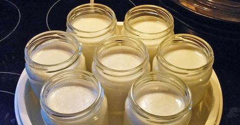 Julie has lived on a farm all her life. She raises goats and she makes cheese and yogurt with the milk. This is the third recipe she has contributed to us. Goat Milk Yogurt, Goat Milk Recipes, Goat Recipes, Making Yogurt, Goat Care, Cheese Maker, Pasteurizing Milk, Yogurt Maker, Homemade Yogurt