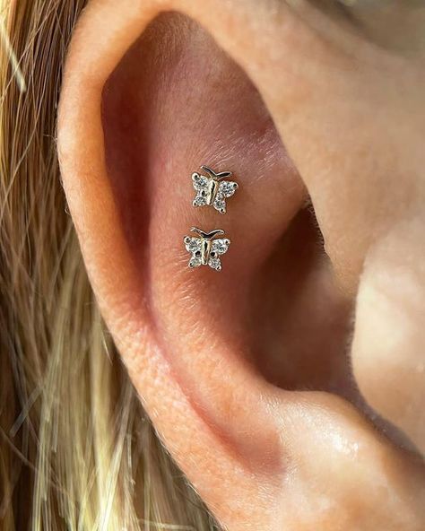 MARIA TASH on Instagram: "A pair of fluttering diamond butterflies take flight up the Contraconch." Contraconch Piercings, Flat And Conch Piercings, Flat Piercing With Conch, Contra Conch Piercing, Contra Conch, Butterfly Conch Piercing, Conch Piercing Butterfly, Conch Ear Piercings Marquette, Maria Tash Lotus