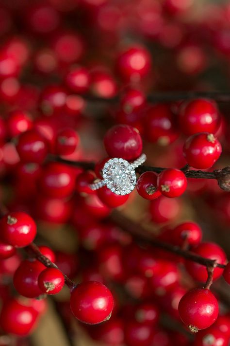 Red Engagement Ring, Wedding Ring Photography, Wedding Ring Shots, Ring Photography, Wedding Rings Photos, Christmas Engagement, Wedding Ring Styles, Engagement Ring Inspiration, Engagement Ring Photos