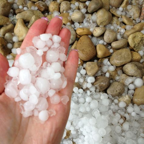 Hail Storm Hail Storm Aesthetic, Storm Aethstetic, Storm Glass Weather, Storm Images Thunderstorms, Ocean During A Storm, Crazy Weather, Hail Storm, Cool Insects, Wild Weather