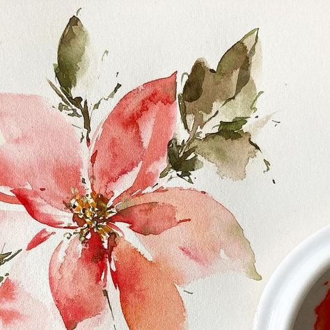 Watercolor Christmas Flowers, How To Draw Poinsettia, Poinsettia Watercolor Paintings, How To Paint A Watercolor Poinsettia, Poinsettia Painting, Beginner Watercolour, Pointsettia Paintings, Poinsettia Watercolor, Winter Mask