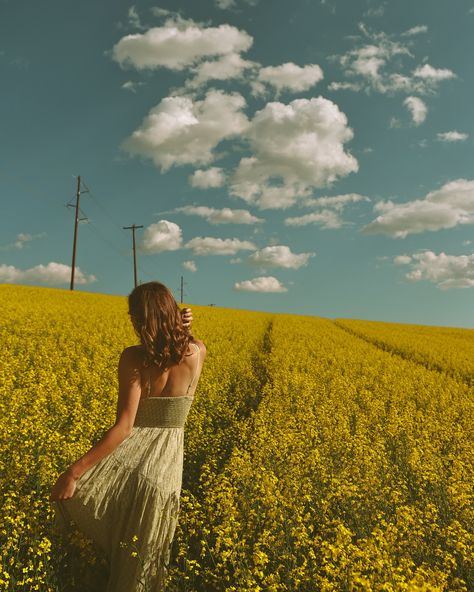 Not taking for granted how beautiful Moscow summers are- the early July canola fields are the most beautiful places too shoot💫 Family Branding, Canola Field, Photo Tag, Couple Shoot, Most Beautiful Places, How Beautiful, Moscow, Beautiful Places, Things To Think About