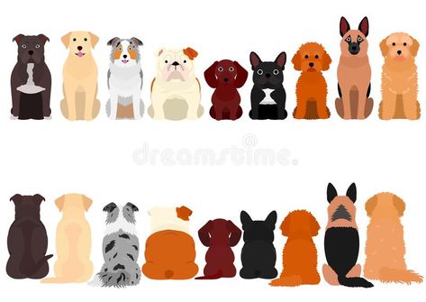 Dogs sitting in a row, front and back. Various breeds of cute dogs sitting in front and back side bundle, isolated on white stock illustration Dog Sitting Illustration, Retriever Illustration, Dog Bookmarks, Dog Painting Pop Art, Golden Retriever Illustration, Dogs Sitting, Project Drawing, Painting Pop Art, Back Drawing