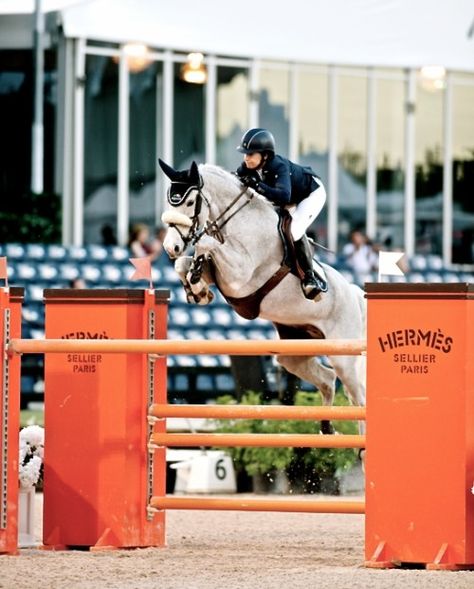 Jumping Aesthetic, Equestrian Jumping, Horsey Life, Show Jumping Horses, Equestrian Aesthetic, Equestrian Problems, Horse Aesthetic, Grey Horse, Clydesdale