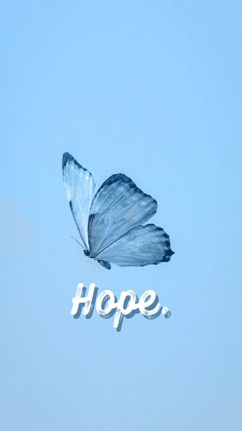 Butterfly Blue Aesthetic, Wallpaper Hope, Baby Blue Wallpaper, Hope Wallpaper, Blue Butterfly Wallpaper, Butterfly Blue, Blue Wallpaper, Butterfly Wallpaper, Blue Butterfly