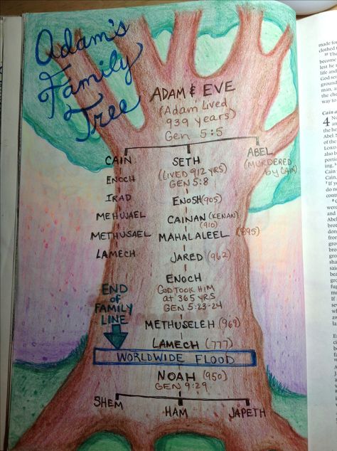 Adam's family tree Genesis 5 Family Tree Journal Ideas, Adam And Eve Family Tree, Genesis Drawing, Biblical Family Tree, Genesis Family Tree, Moses Family Tree, Genesis Reading Plan, Adam And Eve Notes, Bible Family Tree From Adam And Eve