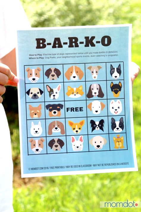 Dog Charity Ideas, Dog Daycare Event Ideas, Dog Park Party, Dog Show Ideas, Dog Event Poster, Dog Fundraiser Ideas, Dog Festival Ideas, Pet Event Ideas, Doggy Daycare Activities