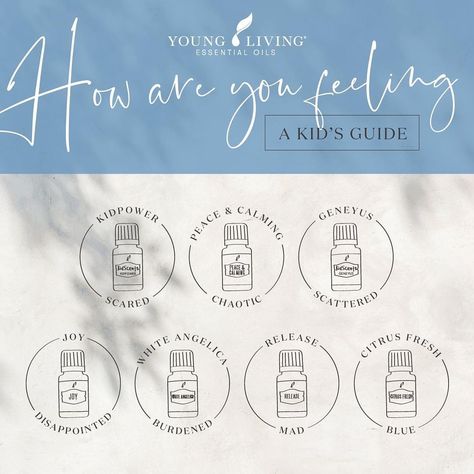 Young Living Education on Instagram: “Do your kids have big feelings? Are your kids in a funk? Use essential oils to align their body and mind and to create the specific…” White Angelica Young Living, Essential Oils Young Living, White Angelica, Big Feelings, In A Funk, Healing Essential Oils, Essential Oils For Kids, Yl Oils, Emotional Child