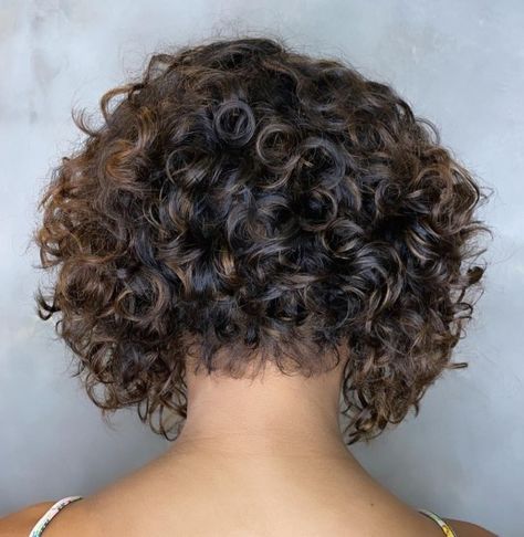 Short in the Back Bob for Curly Hair Short Curly Crochet Hair, Curly Angled Bobs, Short Curly Bob Hairstyles, Curly Pixie Hairstyles, Short Curly Pixie, Bob Haircut Curly, Simple Prom Hair, Stacked Bob Haircut, Curly Hair Photos