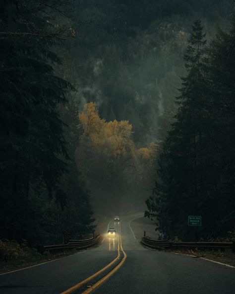 Folk Scenery on Instagram: “💚 Which one is your favorite? Photo by @jscottish #folkscenery Follow us @folkscenery for more!” Oregon Aesthetic, Green Witch Aesthetic, Dark Naturalism, Rainy Day Aesthetic, Nostalgia Aesthetic, Moody Art, Scenic Wallpaper, Night Forest, Forest Road