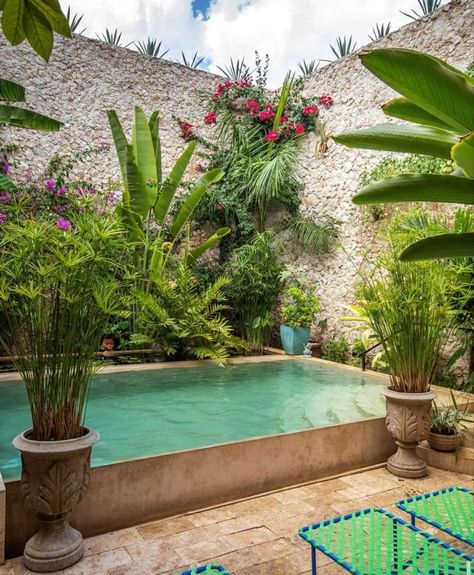 Patio Chico, Merida Mexico, Rooftop Terrace, Entry Foyer, Colonial House, Outdoor Oasis, Pool Designs, Architectural Digest, My Dream Home