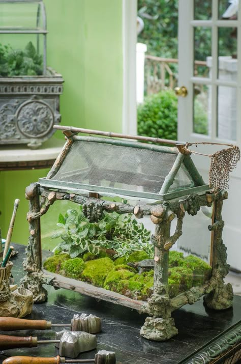 Beautiful Antique french faux bois terrarium from: Collections Sharing the Passion, a book by Jill Helmer, John Grady Burns, Kathy Stewart Victorian Terrariums, Beautiful Terrariums, Plant Terrarium, Terrarium Ideas, Mini Gardens, Moss Garden, Mini Greenhouse, Miniature Gardens, Garden Terrarium