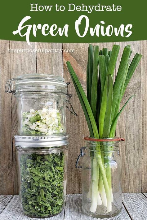 Drying Scallions, Dehydrating Green Onions, Preserving Scallions, Drying Green Onions, Dehydrating Onions In Dehydrator, How To Dehydrate Herbs, Dehydrating Herbs In Dehydrator, Pickled Green Onions Recipe, Dehydrate Herbs