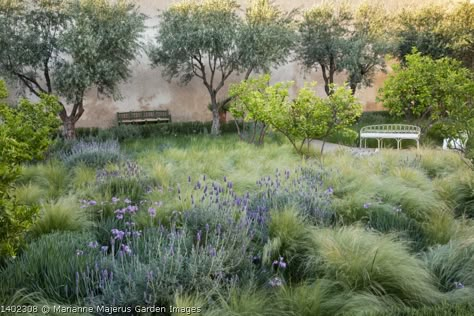 Marianne Majerus Garden, Mediterranean Garden Design, Habitat Garden, Australian Native Garden, Front Garden Landscape, Modern Mediterranean, Minimalist Garden, Hillside Landscaping, California Garden