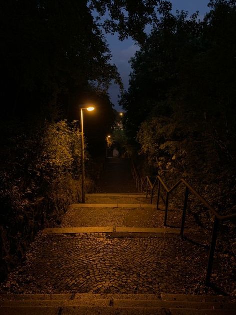 Stairs Dark Aesthetic, Late Night Walks, Night Walks, Aesthetic Space, Dark Autumn, Dark Nature Aesthetic, Night Scenery, Night Landscape, Dark Pictures