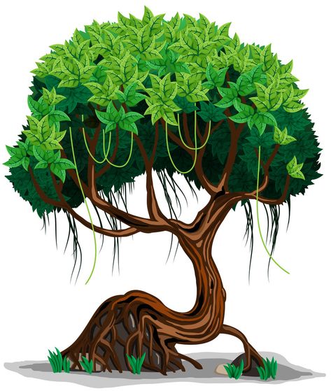 Entry #14 by asselnor for Cartoon style tree - Jungle Tree | Freelancer Jungle Tree Illustration, Jungle Tree Drawing, Jungle Cartoon, Tree Jungle, Jungle Trees, Cartoon Tree, Grape Tree, Tree Cartoon, Rainforest Theme