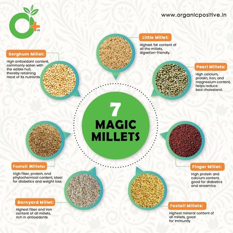 Types Of Millets, Dr Sebi Nutritional Guide, Millet Benefits, Kodo Millet, Finger Millet, Pearl Millet, Millet Flour, Millet Recipes, High Calcium