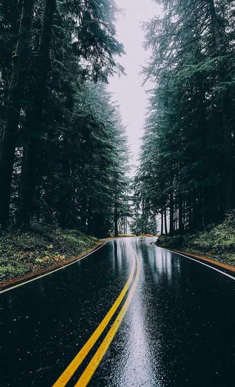 iPhone Wallpapers for iPhone 12, iPhone 11, iPhone X, iPhone XR, iPhone 8 Plus High Quality Wallpapers, iPad Backgrounds Rain Wallpaper Iphone, Iphone Wallpaper Rain, Rain Wallpaper, Rainy Wallpaper, Rain Pictures, Rain Wallpapers, Beautiful Roads, Forest Photos, Image Nature