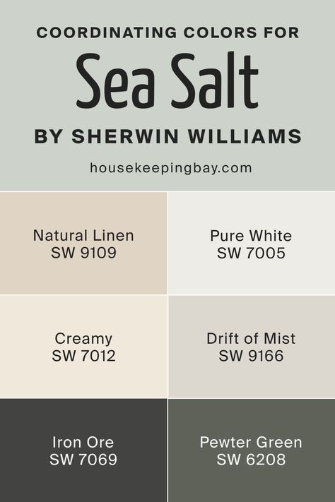 Sea Salt SW 6204 by Sherwin Williams Coordinating Colors Pewter Green Sw, Drift Of Mist, Sherwin Williams Coordinating Colors, Pewter Green, Sea Salt Sherwin Williams, Farmhouse Paint Colors, Iron Ore, Pallet Painting, Colors For Home