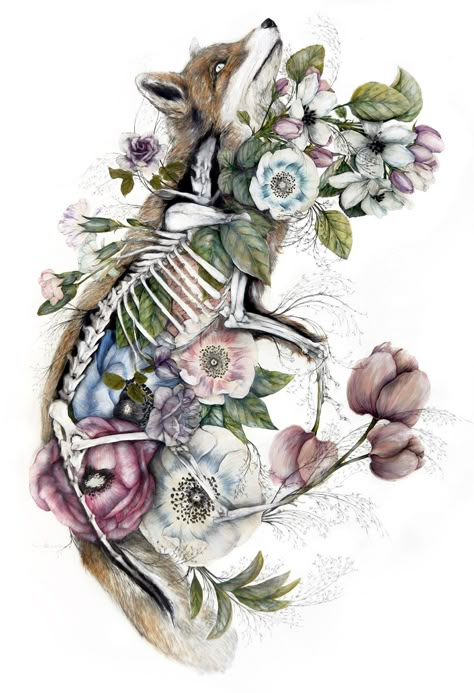 Mimesis: New Anatomical Paintings Depicting Flora and Fauna by Nunzio Paci | Colossal