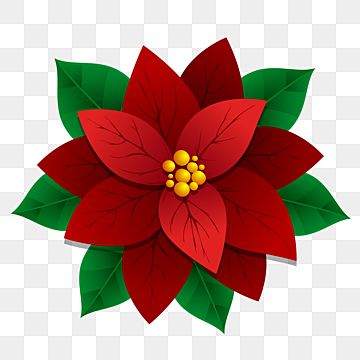 Pointsetta Flower, Red Christmas Flowers, Red Christmas Background, Rose Artwork, Poinsettia Decor, Christmas Flower Decorations, Christmas Leaves, Red Poinsettia, Christmas Plants