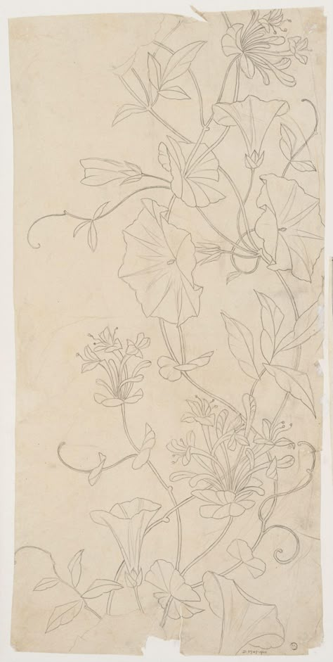 Textile Design | J. D. Cornuaud | V&A Explore The Collections Art Nouveau Pattern, Vintage Florals, Drawing Studies, National Art, Antique Textiles, Watercolor Design, Free Sewing, Graphic Design Typography, Surface Pattern Design