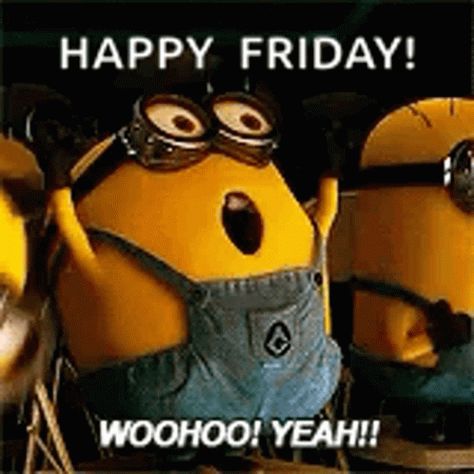 Saturday Gif, Happy Friday Humour, Happy Friday Gif, Funny Christmas Videos, 4 Minions, Friday Gif, Friday Memes, Friday Dance, Morning Gifs