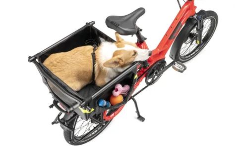 Soft Crate Mini: Dog & Pet Carrier for Ebikes Dog Bike Carrier, Dog Bike, Biking With Dog, Mini Dog, Pet Crate, Big Dog, Dog Gear, Medium Sized Dogs, Dog Carrier