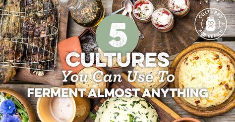 5 Cultures You Can Use To Ferment Almost Anything Kombucha Starter, Preserving Vegetables, Starter Cultures, South Korean Food, Fermented Pickles, Fermentation Recipes, Fermented Vegetables, Soft Boiled Eggs, Pickle Juice