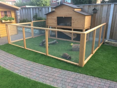 Outside Rabbit Enclosure Ideas, Conejeras Ideas, Rabbit Cage Ideas Outdoor, Rabbit Pen Outdoor, Bunny Cages Outdoor, Rabbit Run Ideas, Rabbit Enclosure Outdoor, Bunny House Outdoor, Outdoor Bunny Habitat