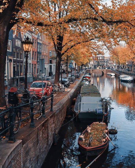 Germany Autumn Aesthetic, Amsterdam Autumn, Amsterdam Fall, Autumn Study, Netherlands Aesthetic, Building Miniature, Europe Places, European Fall, Amsterdam Cafe