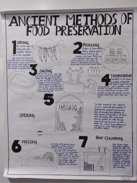 Ancient methods of food preservation Food Preservation Poster, Food Preservation Methods, Physics Lessons, Food Preservation, Food Drawing, Food Poster, Preserving Food, Local Food, Face Drawing