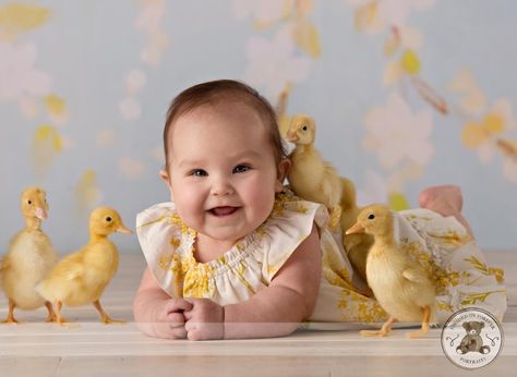 Ducks!  Need to get a photo like this with baby Ava!! Baby With Chicks Photography, Baby Duck Photoshoot, Baby Chicks Photography, Joy Background, Baby Easter Pictures, Easter Minis, Easter Baby Photos, Easter Portraits, Easter Pics