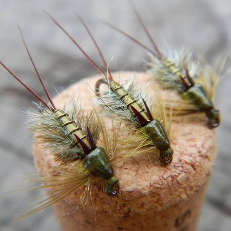 Mayfly Babies Part 15 (section clingers) Final post of series. Epeorus are the only group of mayfly nymphs with 2 tails. Other notable… Fly Fishing Nymphs, Water Room, Carp Flies, Fishing Basics, Fly Casting, Steelhead Flies, Fly Fishing Flies Pattern, Mayfly, Custom Rods