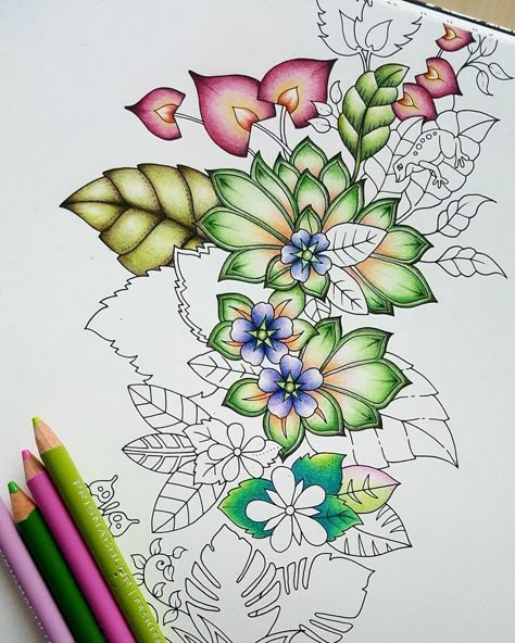 Magical Jungle Johanna Basford, Enchanted Forest Coloring Book, Joanna Basford Coloring, Enchanted Forest Coloring, Joanna Basford, Colored Pencil Tutorial, Magical Jungle, Pencil Techniques, Adult Coloring Inspiration