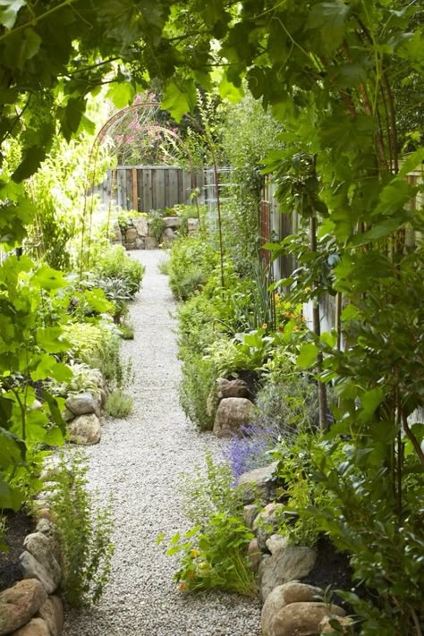 The New Vegetable Garden: 8 Favorite Edible Backyards - Gardenista Edible Gardens, Edging Plants, Star Apple, California Garden, Potager Garden, Garden Vines, Veg Garden, Side Garden, Home Vegetable Garden