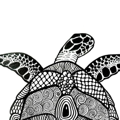 Zentangle by Dalia on Instagram: "Sea turtle 🐢 #zentangle #zendoodle #art #doodling #doodles #zentanglegems #zentanglelovers❤️ #doodle #artistsoninstagram #artist #markerart #markers #drawing #drawings #finelineart #zen #freehand" Turtle Zentangle, Zendoodle Art, Markers Drawing, Sea Turtle Art, Turtle Art, Doodles Zentangles, Zen Doodle, Marker Art, Sea Turtle