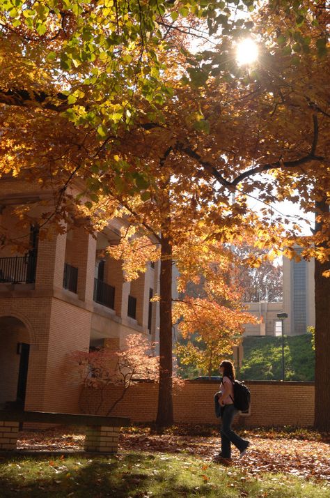 Kent Hall on the Front Campus in the Fall Kent State University Aesthetic, Visuals Aesthetic, University Hall, Kent Ohio, School Environment, Kennesaw State University, Kennesaw State, Kent State University, Kent State