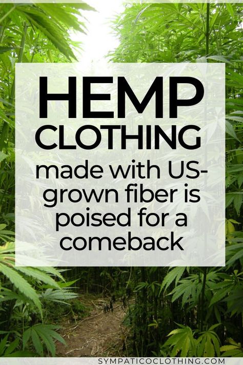 Hemp and linen could be grown and processed in the US, with the right tools and infrastructure.  Therefore, clothing made from hemp grown in the US may become a reality sooner than you thought possible. | Sympatico Clothing | #textiles #sustainable #hemp #ethicalfashion #ecofriendlyliving  #sustainablewardrobe Planet Clothing, Hemp Fashion, Attractive Clothing, Minimalism Lifestyle, Hemp Clothing, Environmental Concerns, Ethical Fashion Brands, Natural Textiles, Eco Friendly Design