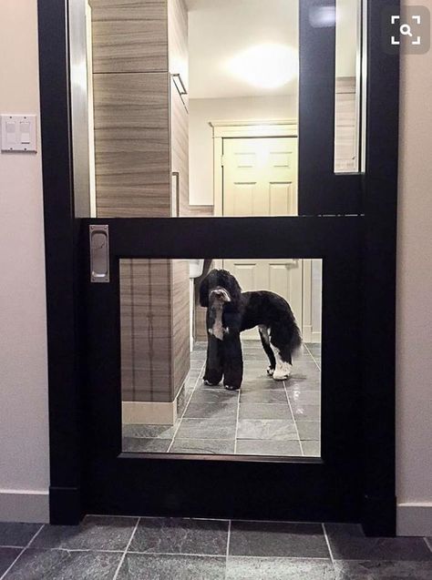 Half pocket doors Diy Dog Door, Sliding Glass Dog Door, Garage Laundry Rooms, Farmhouse Mudroom, Living Colors, Doors Wooden, Pet Door, Dutch Door, Pocket Door