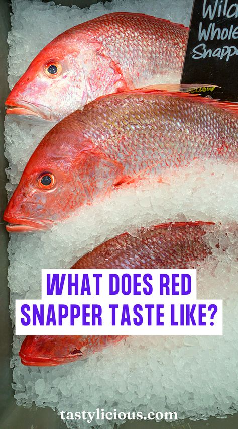 red snapper cooked | red snapper taste | does red snapper taste like salmon | red snapper fillet | fall recipes dinner | healthy lunch ideas | dinner ideas | breakfast ideas | easy healthy dinner recipes Red Snapper Side Dishes, Best Red Snapper Recipes, Recipe For Red Snapper Fillet, Best Way To Cook Red Snapper, Red Snapper Recipes Baked Ovens, How To Cook Red Snapper, Red Snapper Recipes Caribbean, Red Snapper Recipes Grilled, Fried Red Snapper Recipes