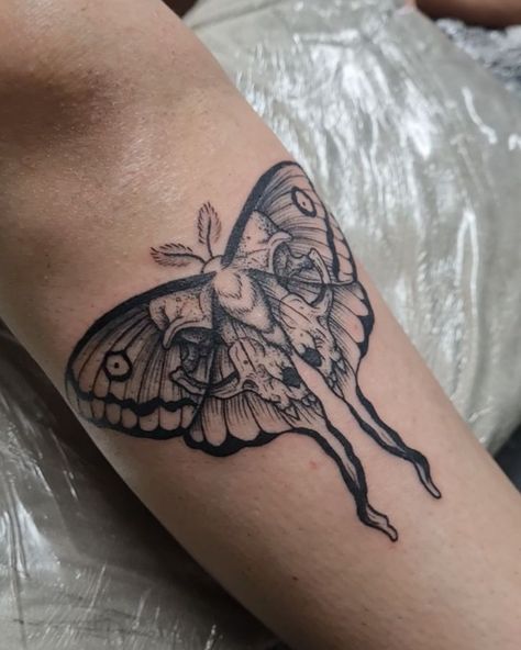 Lunar Moth Tattoo, Writer Tattoo, Luna Moth Tattoo, Skull Wings, Lunar Moth, Tattoo Cover Up, Moth Tattoo, Cat Skull, Memorial Tattoos