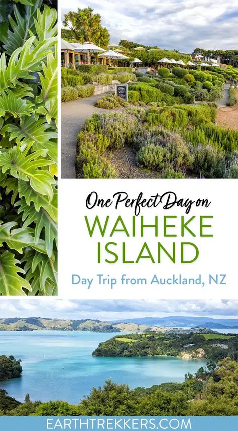 How to spend one perfect day on Waiheke Island. In this guide, learn how to plan a Waiheke Island day trip from Auckland, New Zealand. We cover the best things to do, how to get here, where to eat, and how to plan your time. Earth Trekkers, New Zealand Itinerary, It Photos, Waiheke Island, Auckland Nz, Travel Inspiration Destinations, Is It Worth It, Travel Spots, Auckland New Zealand