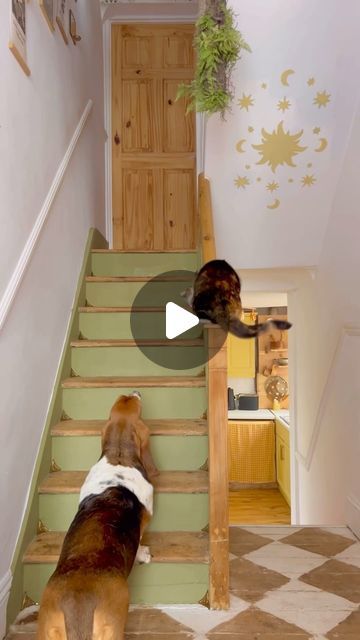 1.4M views · 116K likes | Charlotte Violet Allen on Instagram: "Installing stair dust corners ✨  Approved by my calico cat Mog and my Basset Hound Moo!   I have such a deep love for all the tiny little details that adorn old homes. I truly believe that the little details are what make homes so unique and special. My home didn’t really have any left when we moved in, the floors were covered in thick itchy carpet, the fireplace walls had all been filled in, everything was covered in white gloss paint, original handles removed etc!   I do like to think about what this home must have looked like in its original form- I bet it was so lovely! Stair dust corners are such a magical little detail, I know they of course serve a purpose as dust likes to collect in those little corners. But I think th Stair Dust Covers, Stair Corner Dust Cover, Dust Corners Stairs, Stair Corner, Dust Corners, Fireplace Walls, Old Homes, Architecture Ideas, Gloss Paint